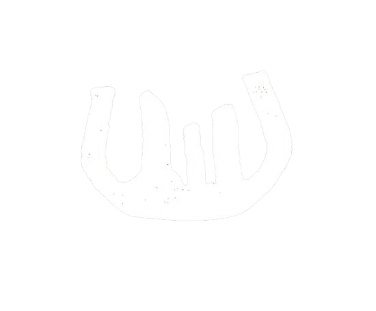 The Wine Club Logo